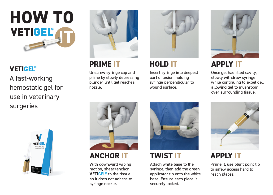 VETIGEL How To Use Brochure Bundle QTY 20 Ea VETIGEL Hemostatic Gel vetigel-how-to-use-brochure-bundle-qty-20-ea-vetigel-hemostatic-gel